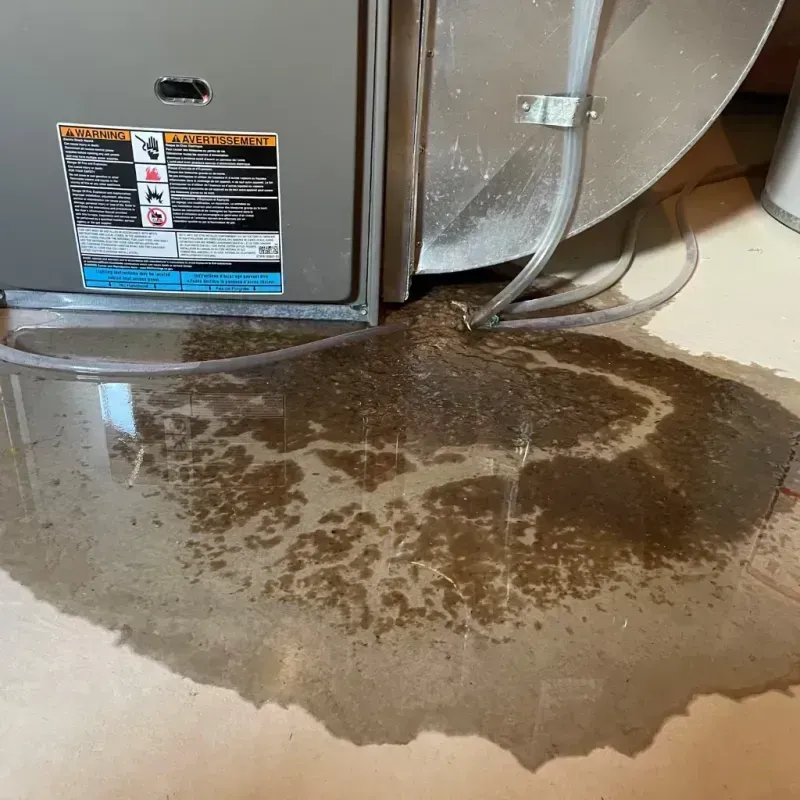 Appliance Leak Cleanup in Becker County, MN